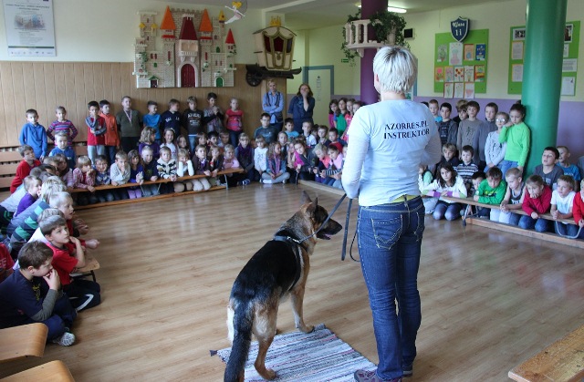szkoła dla psów Azorres na Psiej Lekcji w ramach kampanii Wychowuję, nie tresuje